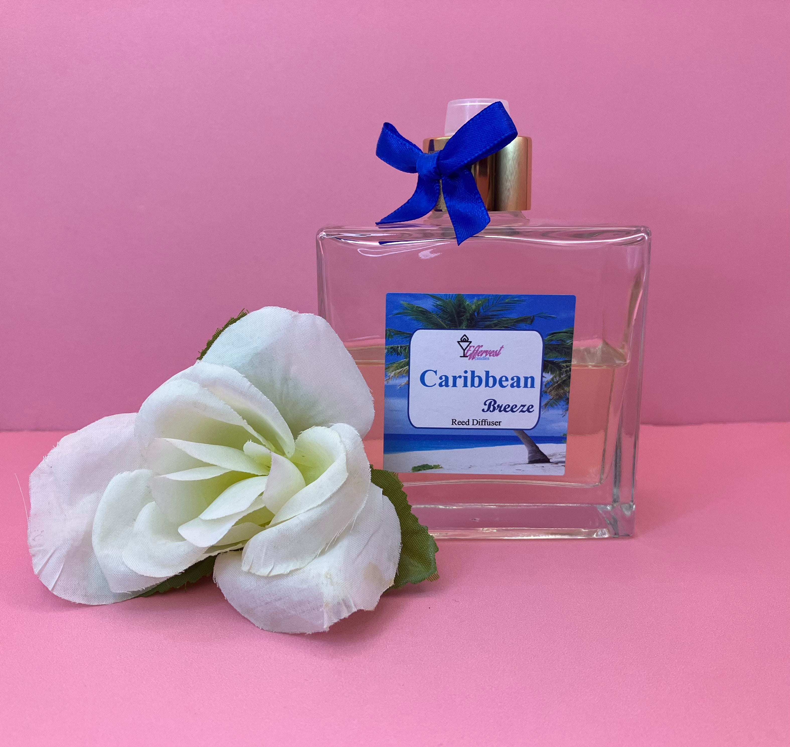 "Caribbean Breeze " Reed Diffuser Transport  to a Tropical Paradise